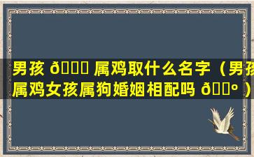 男孩 🐝 属鸡取什么名字（男孩属鸡女孩属狗婚姻相配吗 🌺 ）